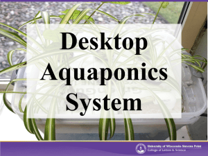 Desktop Aquaponics System