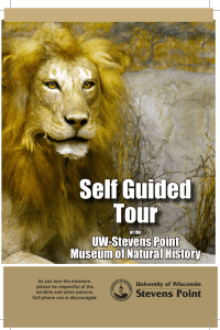 Self Guided Tour UW-Stevens Point Museum of Natural History