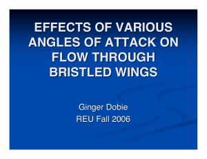 EFFECTS OF VARIOUS ANGLES OF ATTACK ON FLOW THROUGH BRISTLED WINGS