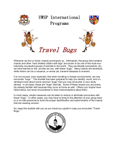 Travel Bugs  UWSP International Programs