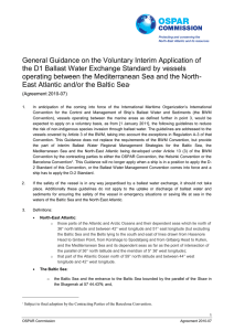General Guidance on the Voluntary Interim Application of