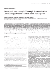 Hemispheric Asymmetry in Visuotopic Posterior Parietal