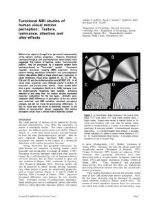 Functional MRI studies of human visual motion