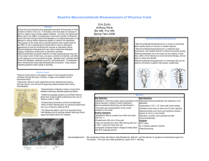 Baseline Macroinvertebrate Bioassessment of Whychus Creek Erin Zurflu Anthony Parla