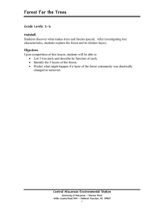 Forest For the Trees Grade Levels: 2-6  Nutshell