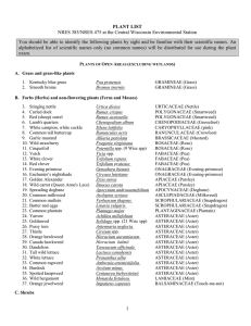 NRES 385/NRES 475 at the Central Wisconsin Environmental Station PLANT LIST