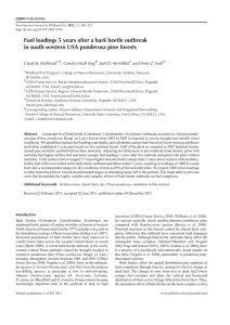 Fuel loadings 5 years after a bark beetle outbreak