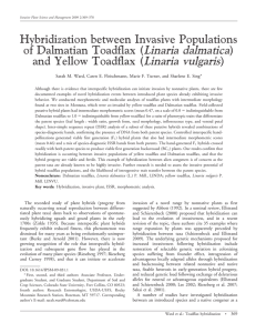 Linaria dalmatica Linaria vulgaris Hybridization between Invasive Populations of Dalmatian Toadflax (