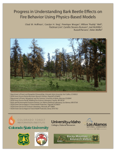 Progress in Understanding Bark Beetle Effects on