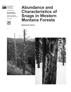 Abundance and Characteristics of Snags in Western Montana Forests