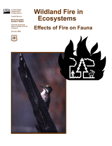 Wildland Fire in Ecosystems Effects of Fire on Fauna
