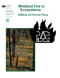 Wildland Fire in Ecosystems Effects of Fire on Flora