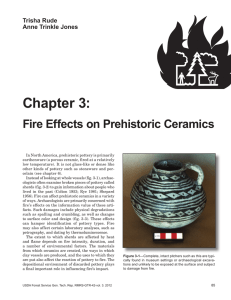 Chapter 3: Fire Effects on Prehistoric Ceramics Trisha Rude Anne Trinkle Jones