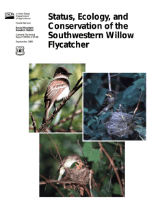 Status, Ecology, and Conservation of the Southwestern Willow Flycatcher