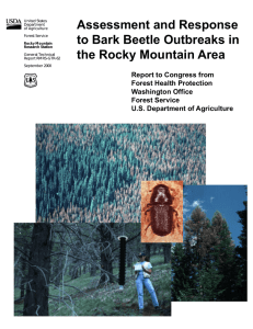 Assessment and Response to Bark Beetle Outbreaks in the Rocky Mountain Area