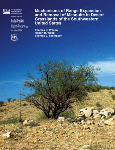 Mechanisms of Range Expansion and Removal of Mesquite in Desert United States