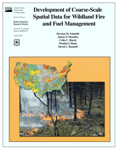 Development of Coarse-Scale Spatial Data for Wildland Fire and Fuel Management