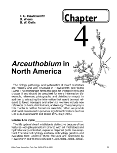 4 Chapter Arceuthobium in
