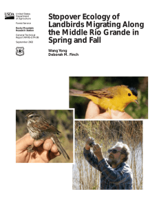 Stopover Ecology of Landbirds Migrating Along the Middle Rio Grande in