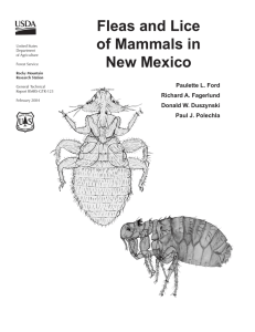 Fleas and Lice of Mammals in New Mexico Paulette L. Ford