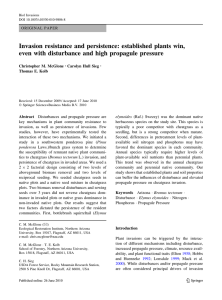 Invasion resistance and persistence: established plants win,