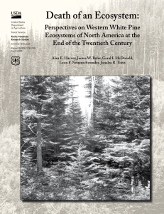 Death of an Ecosystem: Perspectives on Western White Pine