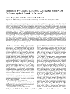 Parasitism by Cuscuta pentagona Attenuates Host Plant Defenses against Insect Herbivores 1