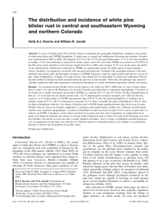 The distribution and incidence of white pine and northern Colorado