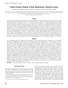 Postfire Invasion Potential of Rush Skeletonweed (Chondrilla juncea) Cecilia Lynn Kinter,