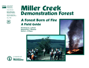 Miller Creek Demonstration Forest A Forest Born of Fire A Field Guide
