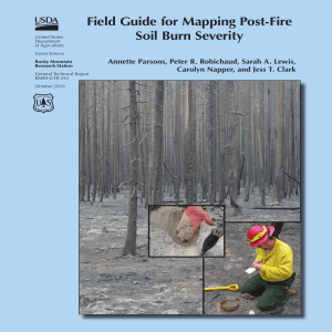 Field Guide for Mapping Post-Fire Soil Burn Severity