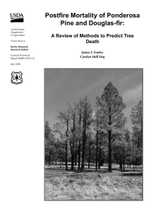 Postfire Mortality of Ponderosa Pine and Douglas-fir: Death