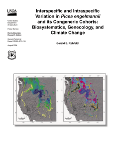 Interspecifi c and Intraspecifi c Picea engelmannii and its Congeneric Cohorts: