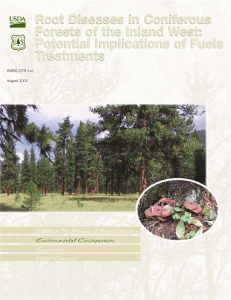 Root Diseases in Coniferous Forests of the Inland West: Treatments