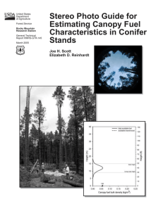 Stereo Photo Guide for Estimating Canopy Fuel Characteristics in Conifer Stands