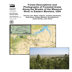 Forest Descriptions and Photographs of Forested Areas River in Eastern Montana, USA