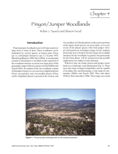 Pinyon/Juniper Woodlands Chapter 4 Robin J. Tausch and Sharon Hood Introduction