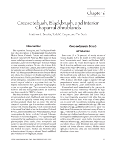 Creosotebush, Blackbrush, and Interior Chaparral Shrublands Chapter 6 Creosotebush Scrub