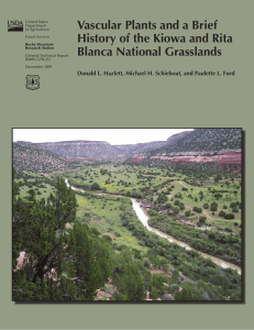 Vascular Plants and a Brief History of the Kiowa and Rita