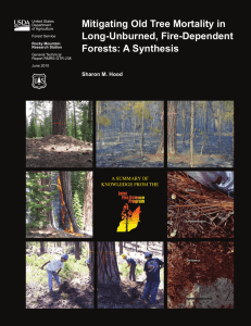 Mitigating Old Tree Mortality in Long-Unburned, Fire-Dependent Forests: A Synthesis Sharon M. Hood