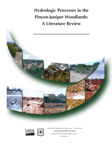 Hydrologic Processes in the Pinyon-Juniper Woodlands: A Literature Review
