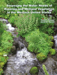 Assessing the Water Needs of Riparian and Wetland Vegetation David J. Cooper