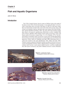 Fish and Aquatic Organisms Introduction Chapter 9 John N. Rinne