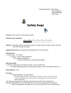 Safety Bugs