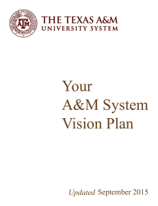 Your A&amp;M System Vision Plan
