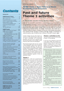 Past and future Theme 1 activities Research Themes