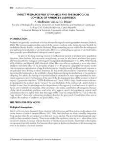 INSECT PREDATOR-PREY DYNAMICS AND THE BIOLOGICAL CONTROL OF APHIDS BY LADYBIRDS