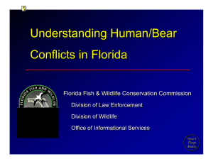 Understanding Human/Bear Conflicts in Florida Florida Fish &amp; Wildlife Conservation Commission