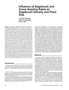 Influence of Sagebrush and Grass Seeding Rates on Sagebrush Density and Plant Size