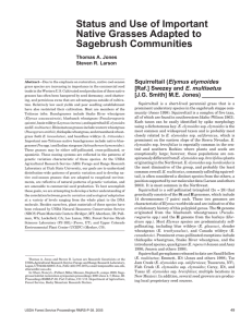 Status and Use of Important Native Grasses Adapted to Sagebrush Communities Squirreltail (